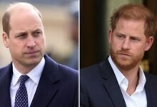 Prince William’s Reported Message to Prince Harry After Reconciliation Plea
