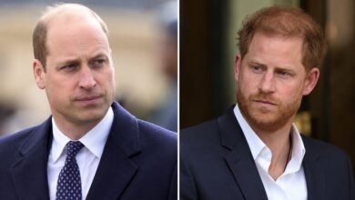 Prince William’s Reported Message to Prince Harry After Reconciliation Plea