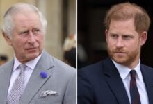 King Charles Shares Powerful Words After Prince Harry’s Reconciliation Appeal