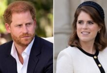 Prince Harry Reportedly Wants Closure in Crucial Meeting With Princess Eugenie Amid Friendship Rift