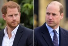 Prince William’s Stance Leaves Prince Harry’s Reconciliation Hopes in Doubt
