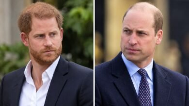 Prince William’s Stance Leaves Prince Harry’s Reconciliation Hopes in Doubt