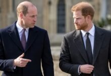 Prince Harry's Close Friend Makes Bold Prediction About Duke and Prince William’s Future as Reunion Hopes Grow