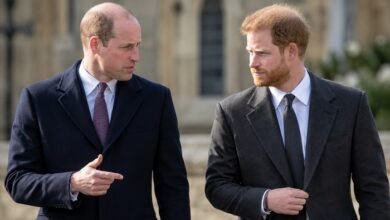 Prince Harry's Close Friend Makes Bold Prediction About Duke and Prince William’s Future as Reunion Hopes Grow