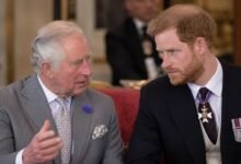 King Charles Team Makes Surprise Announcement After Prince Harry’s Emotional Reunion Plea