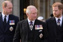 King Charles Hands Prince William Extraordinary New Power as Prince Harry Forges His Own Path