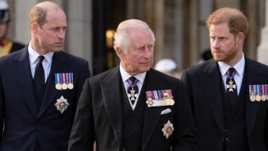 King Charles Hands Prince William Extraordinary New Power as Prince Harry Forges His Own Path