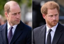 Prince William’s Graham Norton Joke Sparks Prince Harry Swipe Speculation After GQ Interview