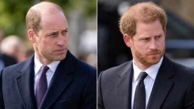 Prince William’s Graham Norton Joke Sparks Prince Harry Swipe Speculation After GQ Interview