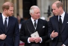 Prince Harry’s Money Making Projects Could Be Blocking Reconciliation With King Charles and Prince William