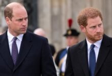 Prince Harry Reveals Real Reason for UK Return As Prince William Rejects Reunion