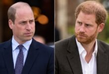 Prince William Urged to Repair Rift With Prince Harry Before Becoming King