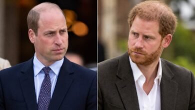 Prince William Urged to Repair Rift With Prince Harry Before Becoming King