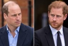 Prince William Echoes Prince Harry’s Thoughts on Grief in Emotional Message About Loss