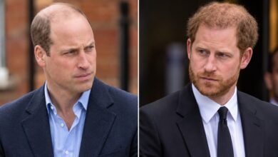 Prince William Echoes Prince Harry’s Thoughts on Grief in Emotional Message About Loss