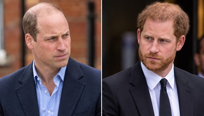 Prince William Echoes Prince Harry’s Thoughts on Grief in Emotional Message About Loss