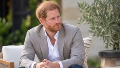 Prince Harry’s Latest Interview Sparks Fresh Warning as Experts Question Chances of Royal Reunion