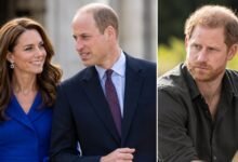Princess Kate Pained by Prince William and Prince Harry’s Rift as Questions Grow Over Prince’s Next Move
