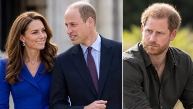 Princess Kate Pained by Prince William and Prince Harry’s Rift as Questions Grow Over Prince’s Next Move