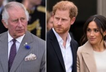 King Charles Draws Firm Line on Harry and Meghan’s Royal Future as Reconciliation Hopes Face Fresh Blow