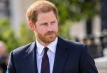 Prince Harry Branded His Own Worst Enemy as Expert Issues Brutal Warning Over Royal Family Rift