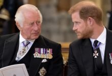 King Charles Faces Invictus Games Dilemma as Majority of Reject Harry Reunion Appearance in Poll