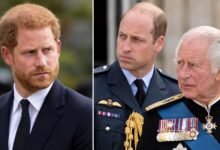 Prince Harry Makes Mindful Pledge That Could Please King Charles and Prince William