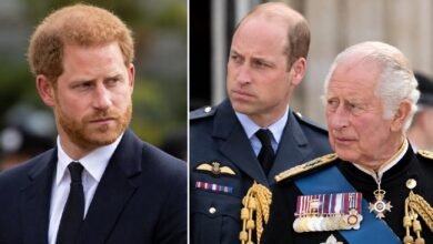Prince Harry Makes Mindful Pledge That Could Please King Charles and Prince William