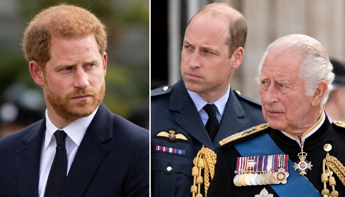 Prince Harry Makes Mindful Pledge That Could Please King Charles and Prince William