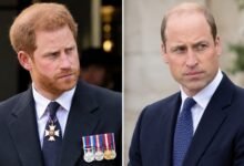 Prince William’s Surprise Celebrity Appearance Draws Attention Amid Ongoing Tensions With Prince Harry